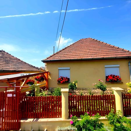 Ferienwohnung Kata Vendeghaz Sátoraljaújhely Exterior foto